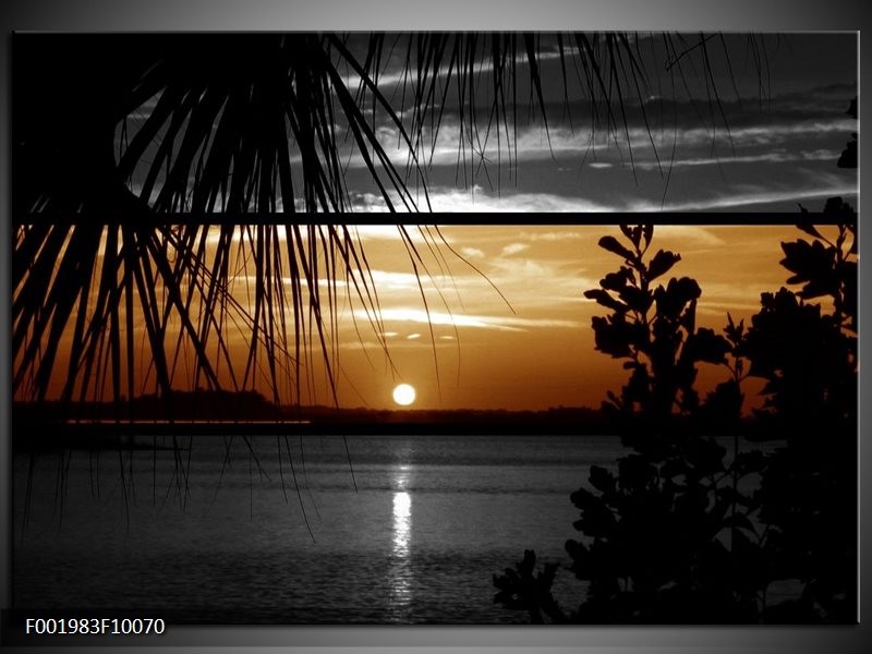 Foto canvas schilderij Zonsondergang | Sepia, Bruin