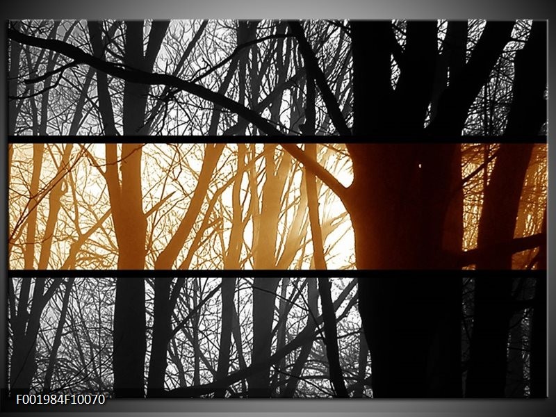 Foto canvas schilderij Natuur | Sepia, Bruin