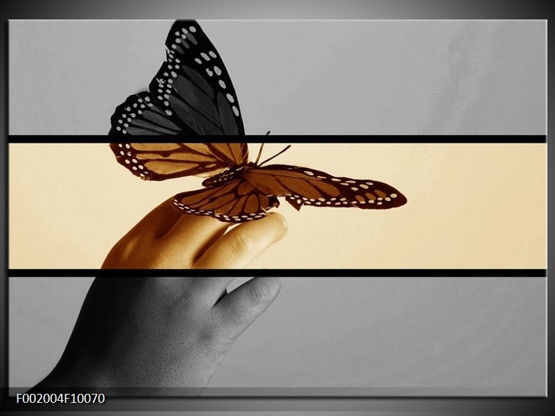 Glas schilderij Vlinder | Sepia, Bruin