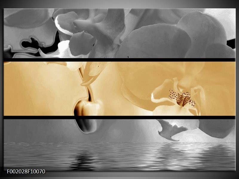 Glas schilderij Orchidee | Sepia, Grijs