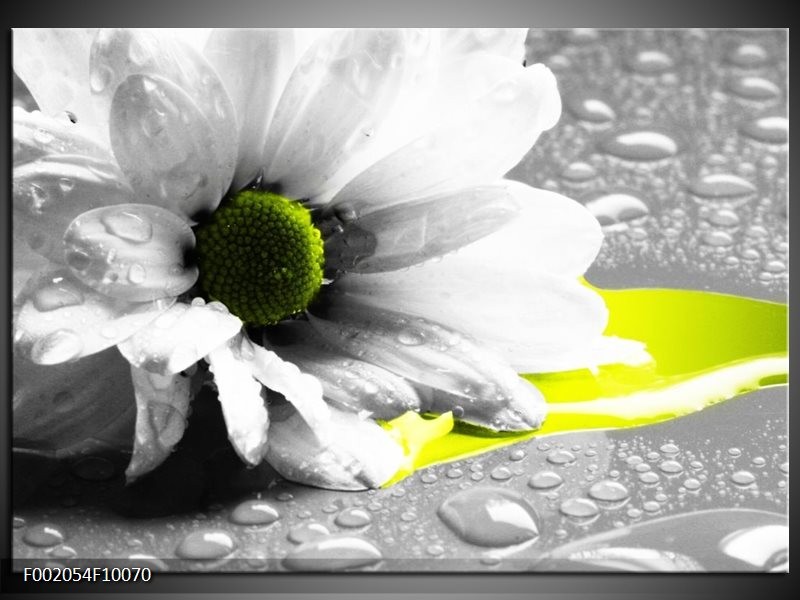 Foto canvas schilderij Bloem | Grijs, Wit, Geel