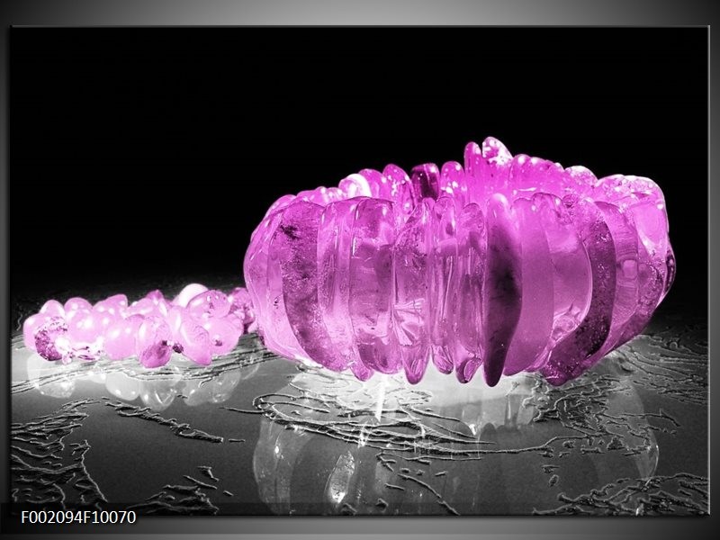 Glas schilderij Macro | Zwart, Grijs, Paars