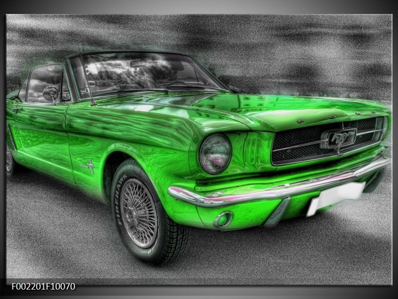 Foto canvas schilderij Mustang | Zwart, Grijs, Groen