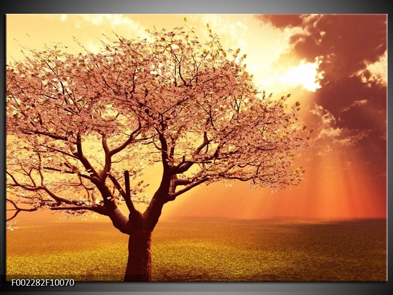 Glas schilderij Boom | Geel, Oranje, Bruin