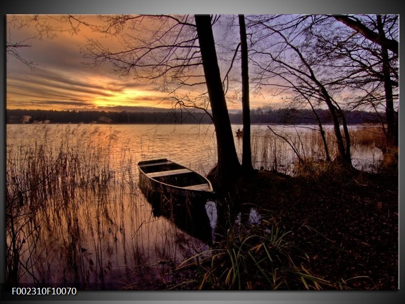 Foto canvas schilderij Natuur | Geel, Zwart, Blauw