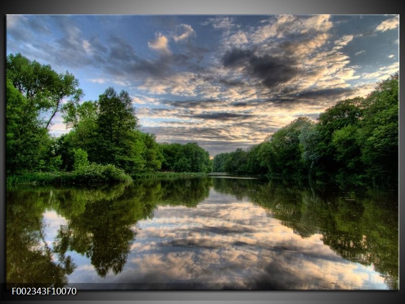 Foto canvas schilderij Natuur | Groen, Grijs, Wit