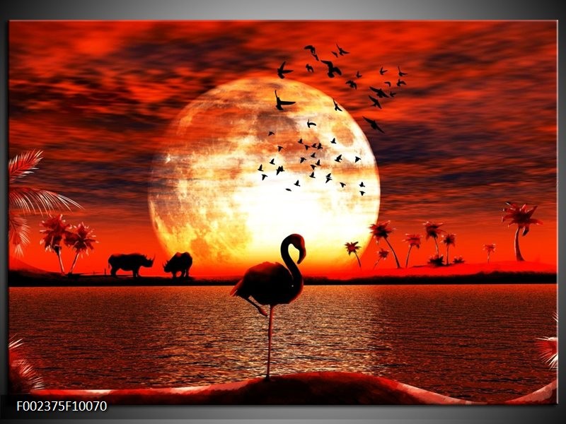 Foto canvas schilderij Dieren | Rood, Wit, Zwart