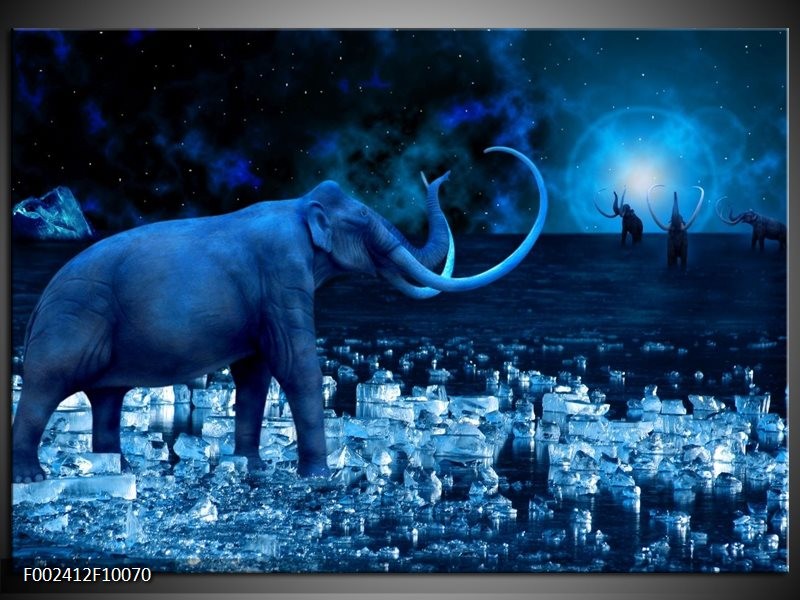 Foto canvas schilderij Olifant | Blauw, Wit, Zwart