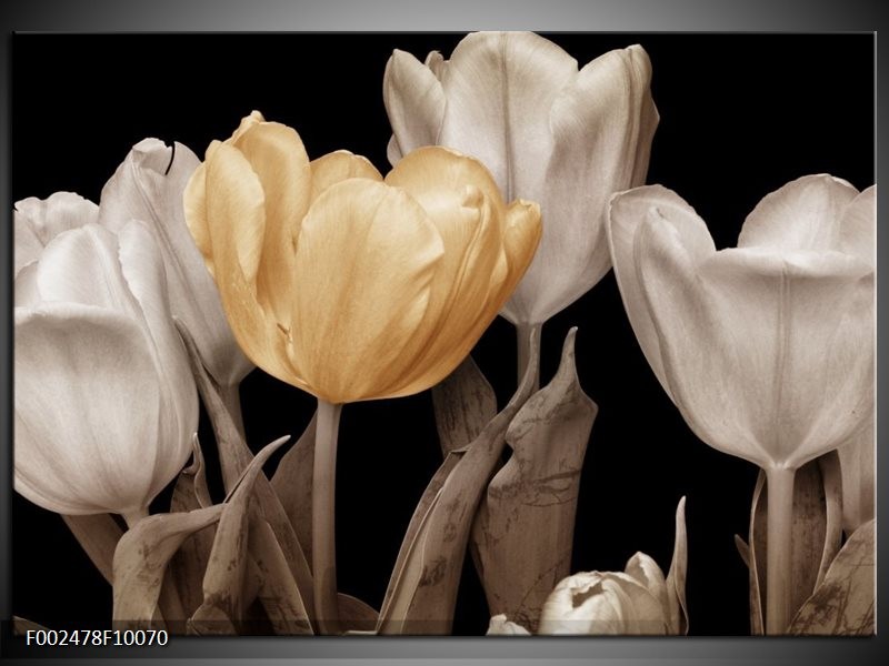 Glas schilderij Tulpen | Geel, Wit, Zwart