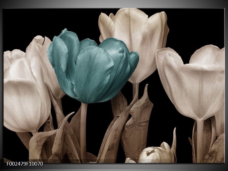 Glas schilderij Tulpen | Blauw, Wit, Zwart