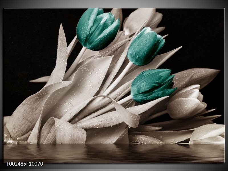 Foto canvas schilderij Tulpen | Blauw, Wit, Zwart