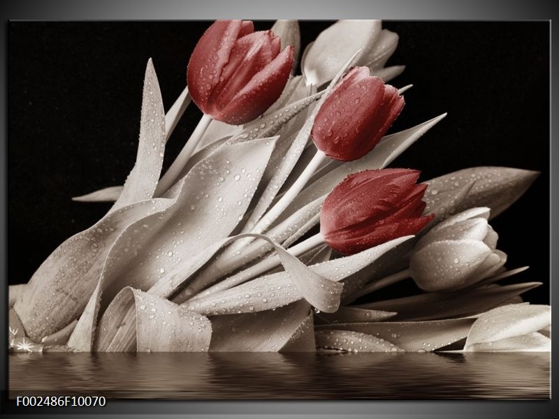 Glas schilderij Tulpen | Bruin, Wit, Zwart