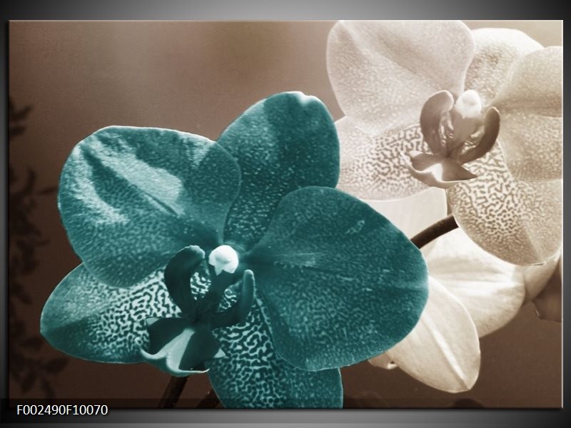 Foto canvas schilderij Orchidee | Blauw, Wit, Grijs