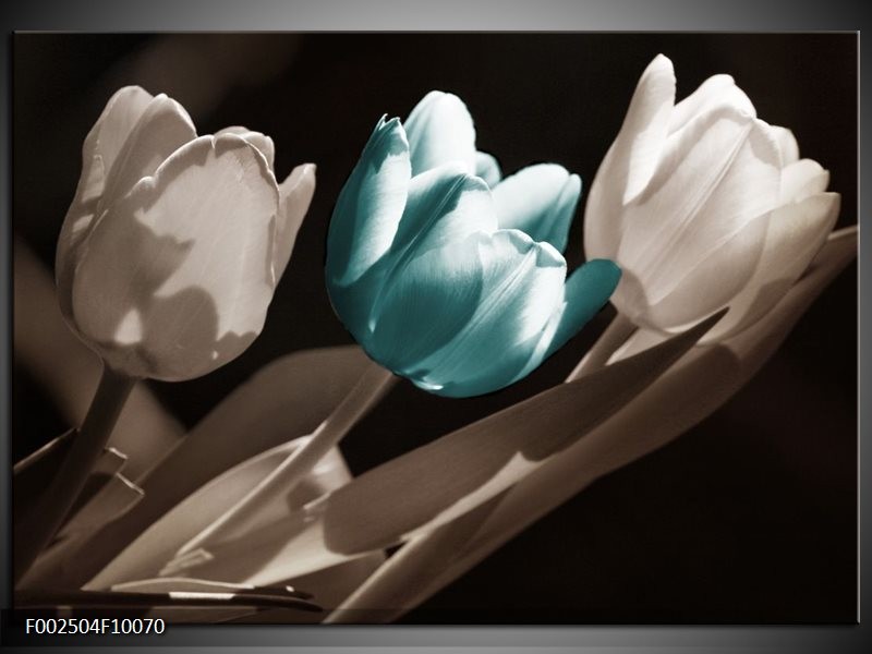 Foto canvas schilderij Tulp | Blauw, Grijs, Wit