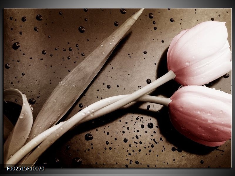 Foto canvas schilderij Tulp | Bruin, Grijs, Wit