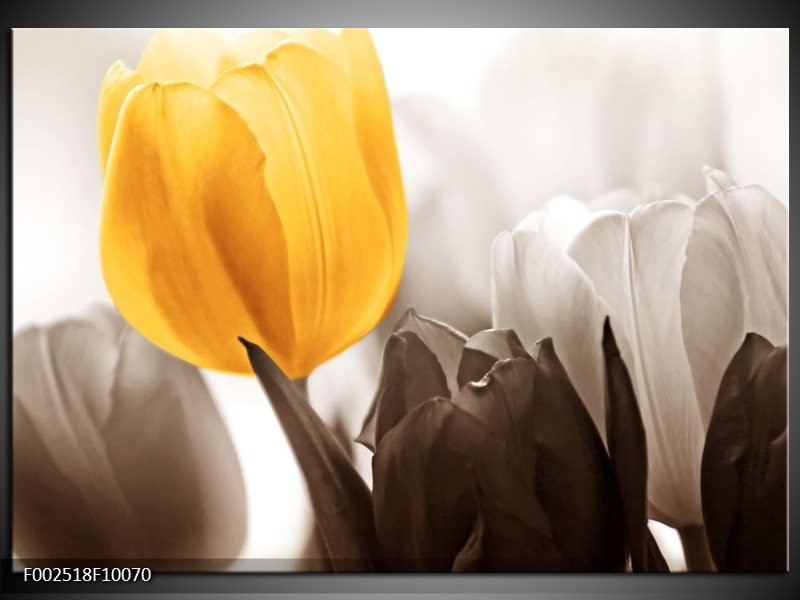 Glas schilderij Tulpen | Geel, Wit, Grijs