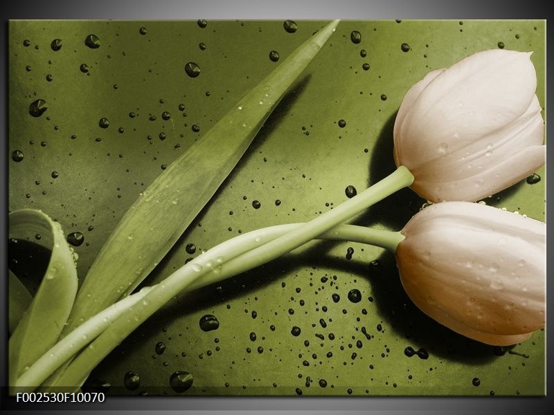 Foto canvas schilderij Tulp | Groen, Bruin