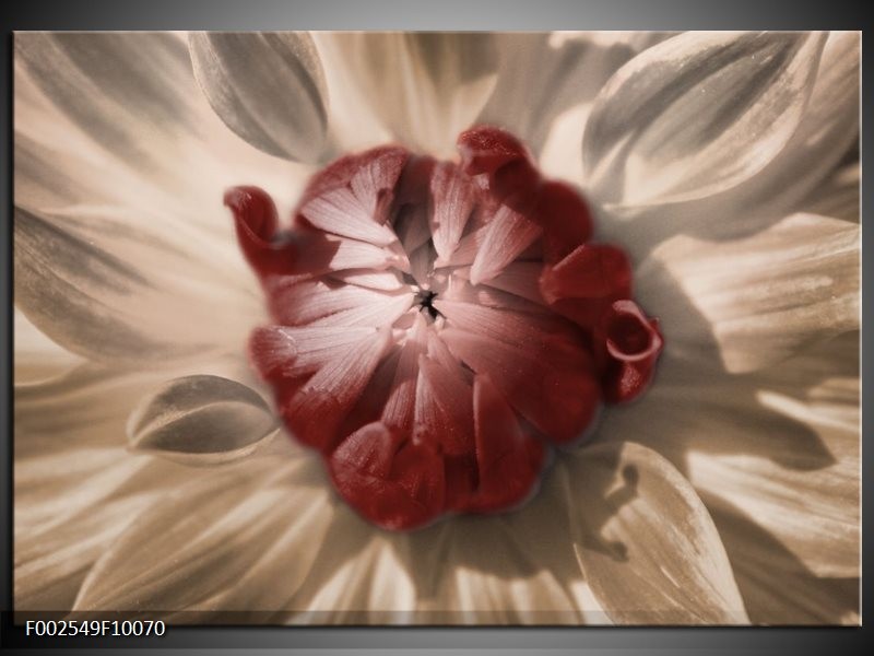 Foto canvas schilderij Bloem | Bruin, Wit, Grijs