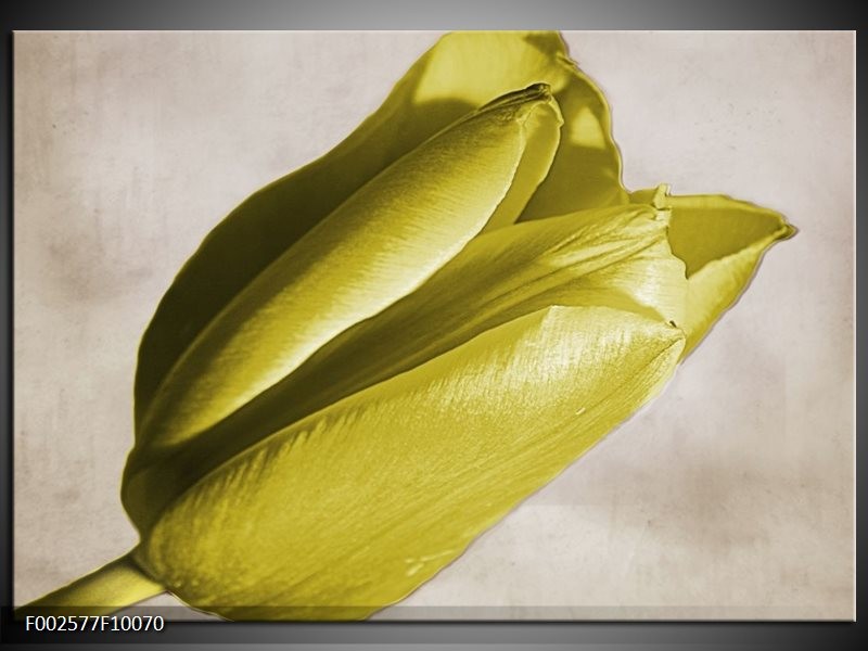 Glas schilderij Tulp | Geel, Grijs, Zwart