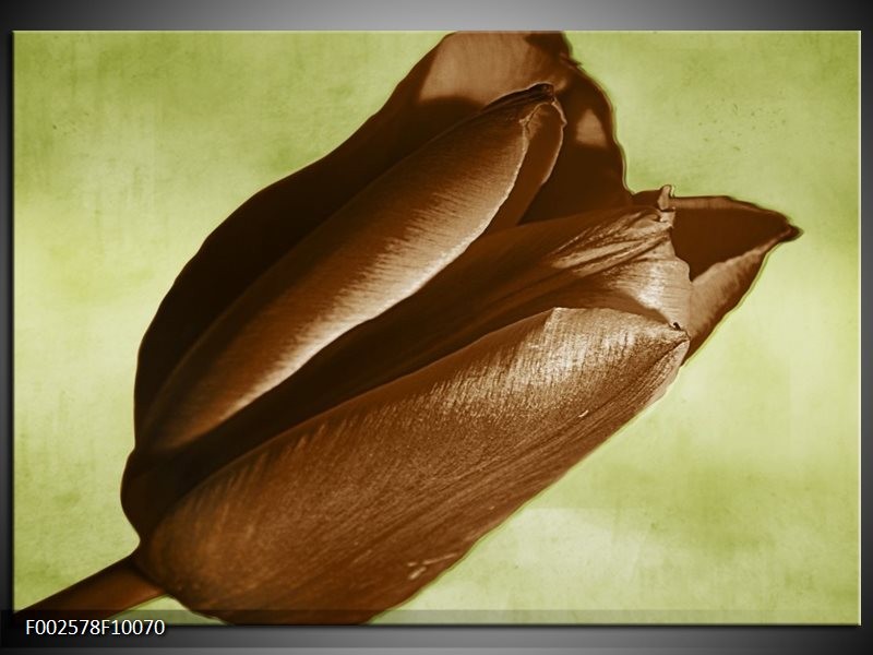 Foto canvas schilderij Tulp | Bruin, Grijs, Zwart