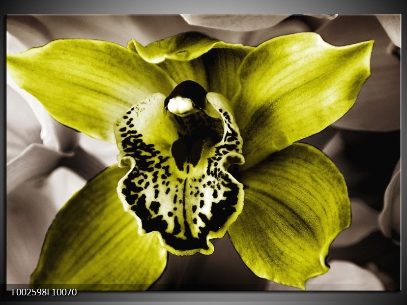 Foto canvas schilderij Iris | Groen, Wit, Grijs