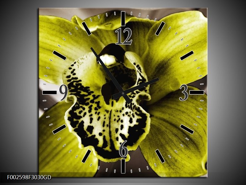 Wandklok op Glas Iris | Kleur: Groen, Wit, Grijs | F002598CGD