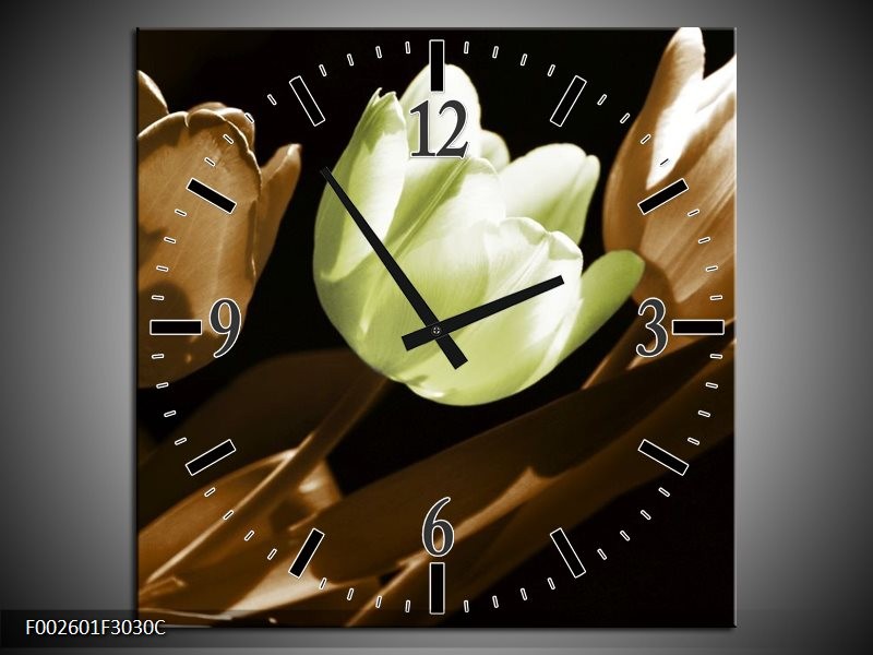 Wandklok op Canvas Tulp | Kleur: Bruin, Groen, Zwart | F002601C