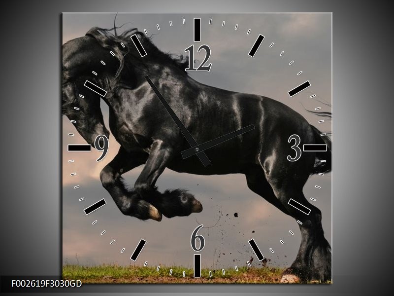 Wandklok op Glas Paarden | Kleur: Zwart, Wit, Grijs | F002619CGD