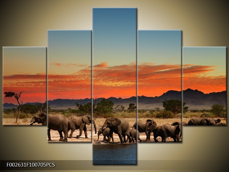 OP VOORRAAD Foto canvas schilderij Olifant | 100x70cm 5pcs | F002631