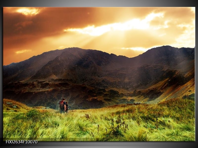 Glas schilderij Natuur | Wit, Bruin, Groen