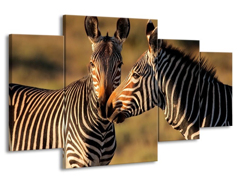 Glas schilderij Zebra | Zwart, Wit, Bruin | 160x90cm 4Luik