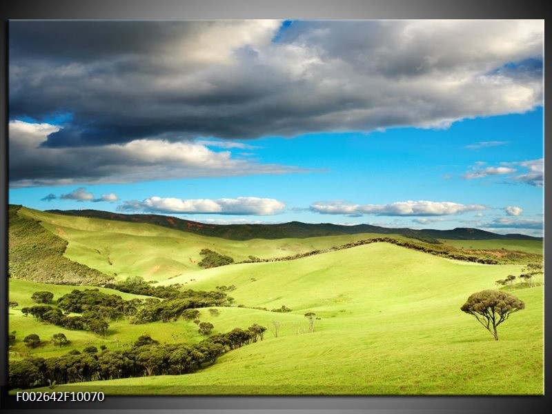 Foto canvas schilderij Natuur | Groen, Blauw, Wit