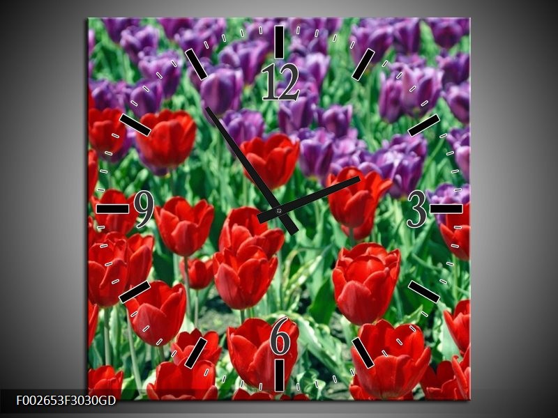 Wandklok op Glas Tulp | Kleur: Rood, Paars, Groen | F002653CGD