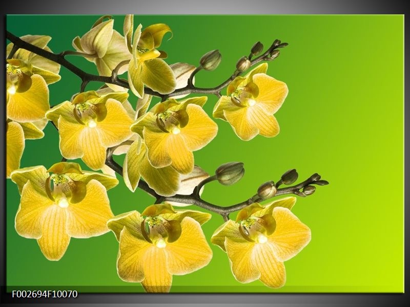 Glas schilderij Orchidee | Geel, Groen, Wit