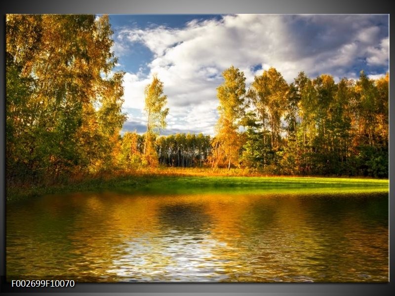 Foto canvas schilderij Natuur | Groen, Bruin, Wit