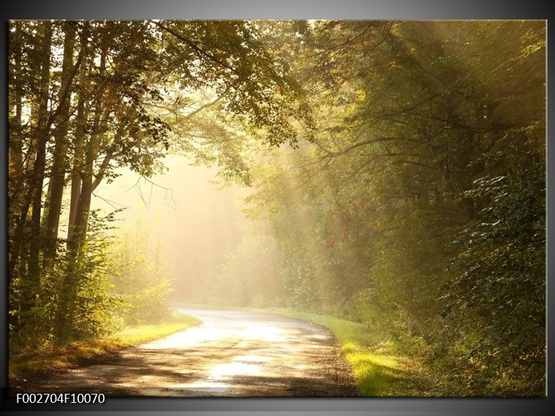 Glas schilderij Natuur | Groen, Wit, Grijs