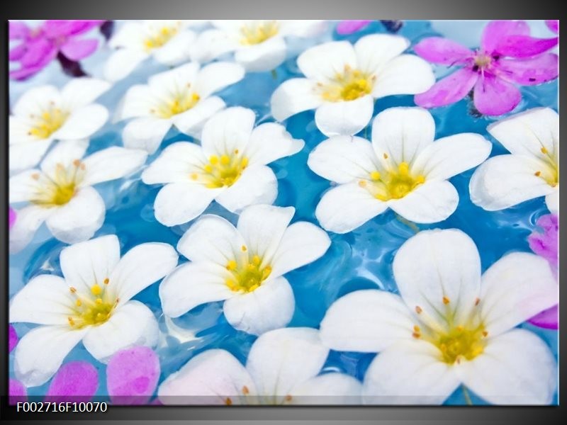 Glas schilderij Bloemen | Blauw, Wit, Geel