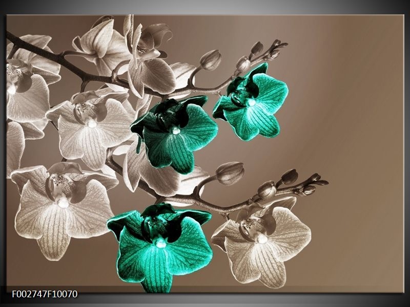 Glas schilderij Orchidee | Groen, Bruin, Grijs