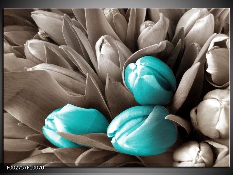 Glas schilderij Orchidee | Grijs, Blauw, Zwart