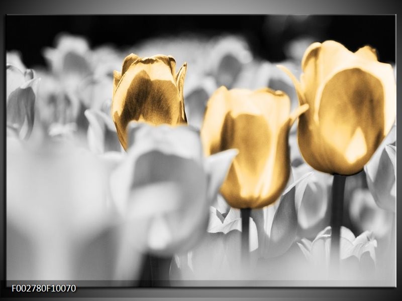 Foto canvas schilderij Tulpen | Goud, Grijs, Wit