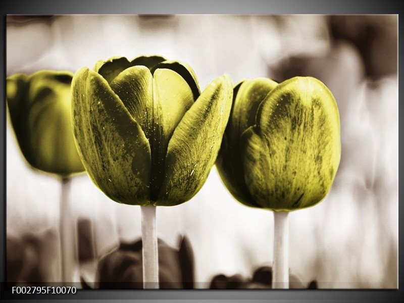 Glas schilderij Tulpen | Bruin, Groen