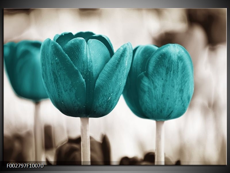 Foto canvas schilderij Tulpen | Blauw, Wit, Grijs