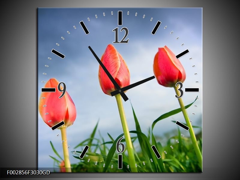 Wandklok op Glas Tulpen | Kleur: Rood, Blauw, Groen | F002856CGD