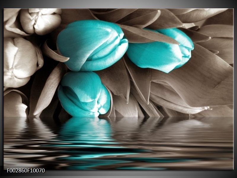 Glas schilderij Tulpen | Blauw, Grijs, Zwart
