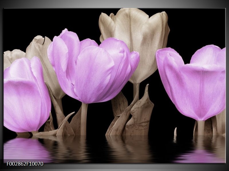 Glas schilderij Tulpen | Paars, Grijs