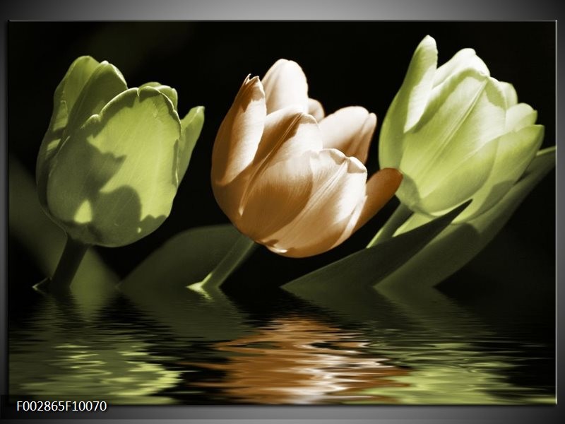 Foto canvas schilderij Tulpen | Groen, Bruin