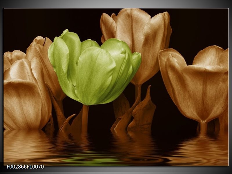 Foto canvas schilderij Tulpen | Groen, Bruin