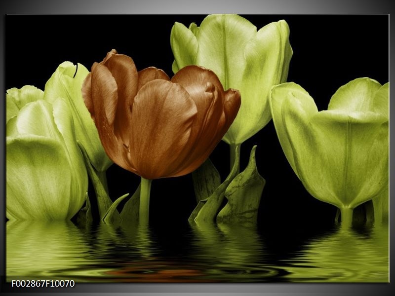 Glas schilderij Tulpen | Groen, Bruin