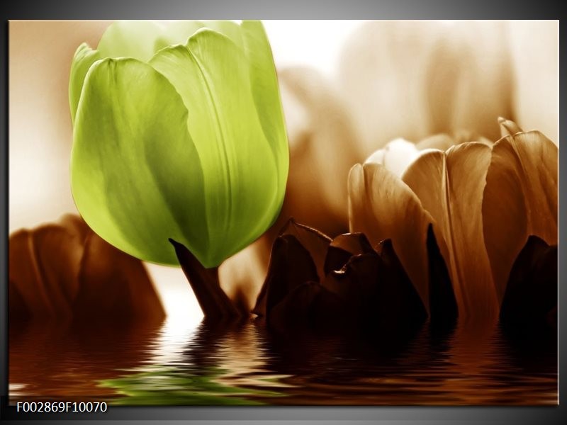 Glas schilderij Tulpen | Groen, Bruin