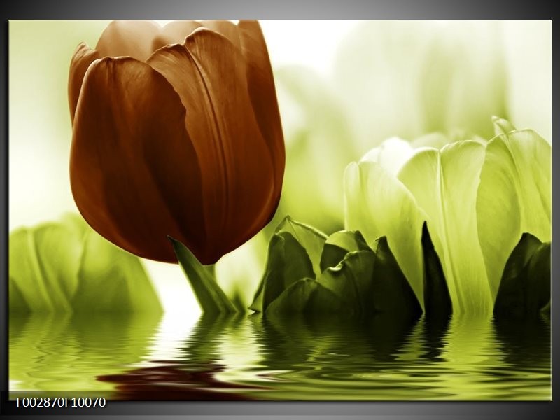 Glas schilderij Tulpen | Groen, Bruin